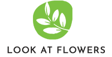 Lookatflowers – Book Now!