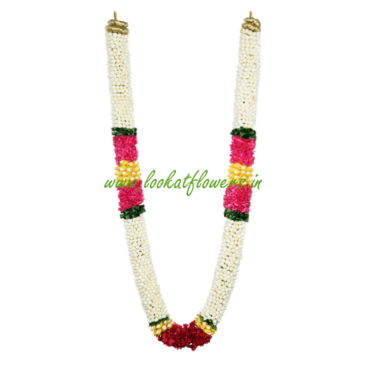Jasmine with Carnation Garlands